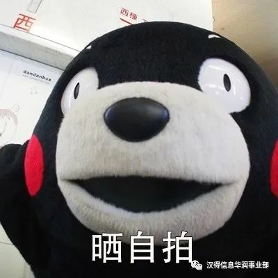什么牌子的健身手套好_手套牌子健身好吗_哪个品牌的健身手套好