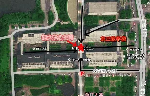 健身飞鸟动作视频频教学_健身房飞鸟动作怎么做_飞鸟健身椅